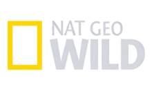 LATINO | NAT GEO WILD